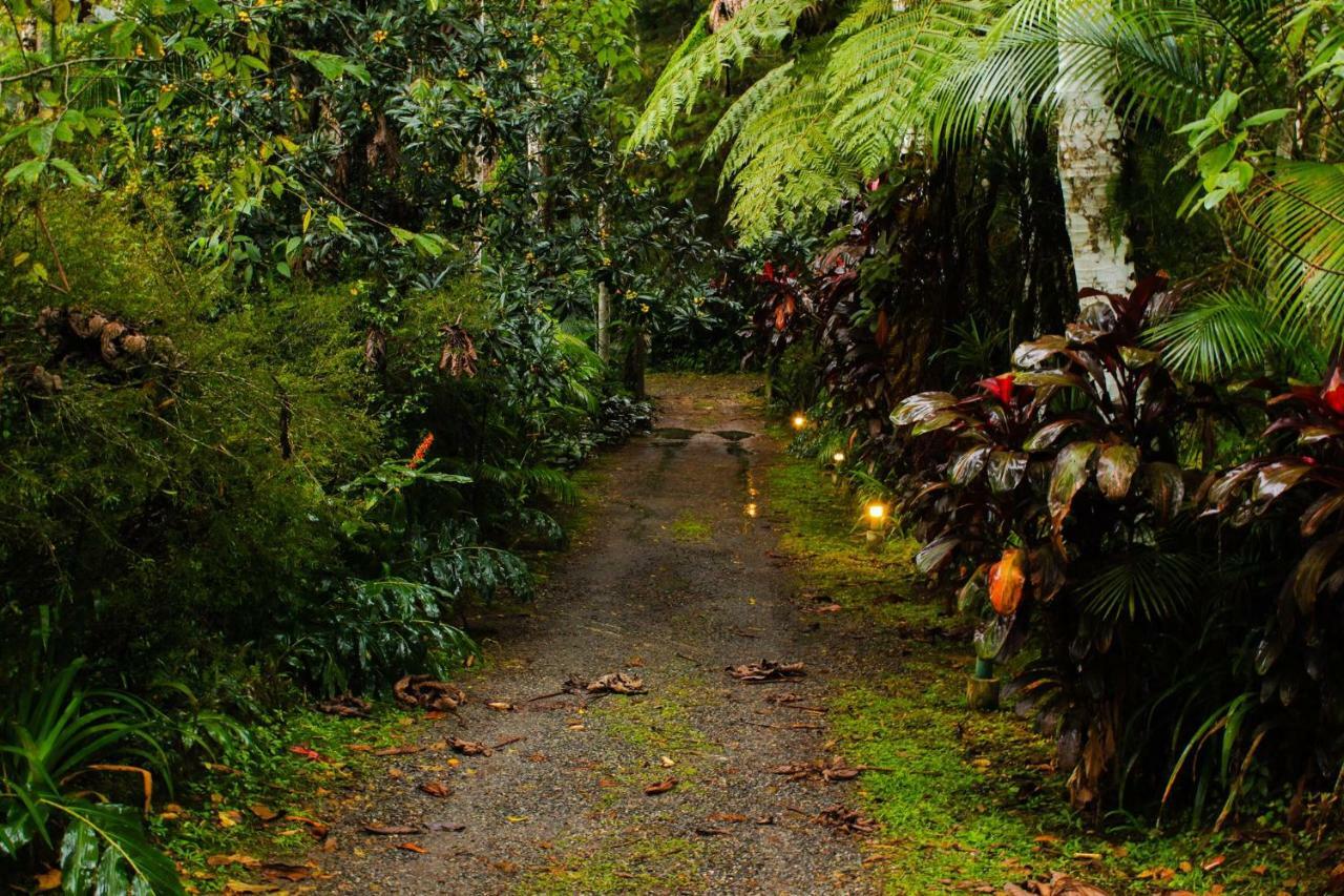 Quarto Varanda - Residencia Gaia Itatiaia Itatiaia  Bagian luar foto